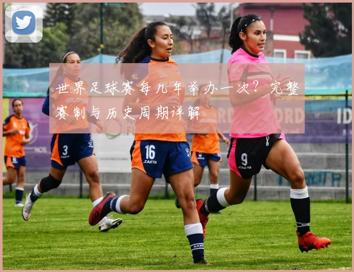 世界足球赛每几年举办一次?完整赛制与历史周期详解