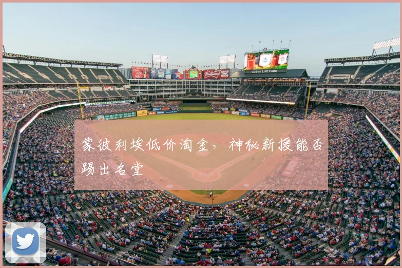 蒙彼利埃低价淘金，神秘新援能否踢出名堂