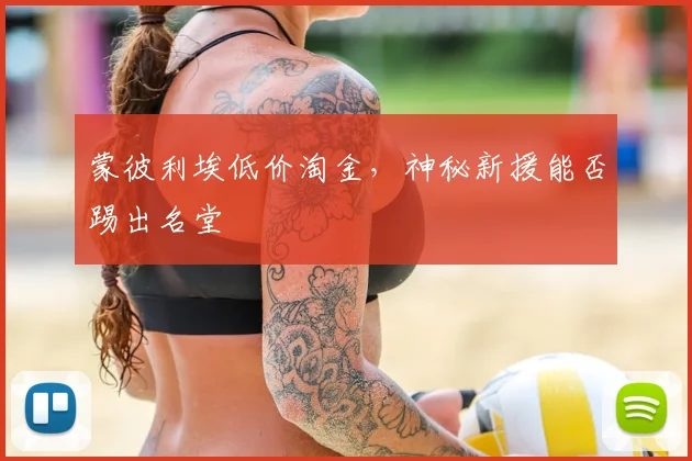 蒙彼利埃低价淘金，神秘新援能否踢出名堂