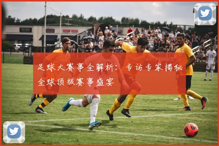 足球大赛事全解析：专访专家揭秘全球顶级赛事盛宴